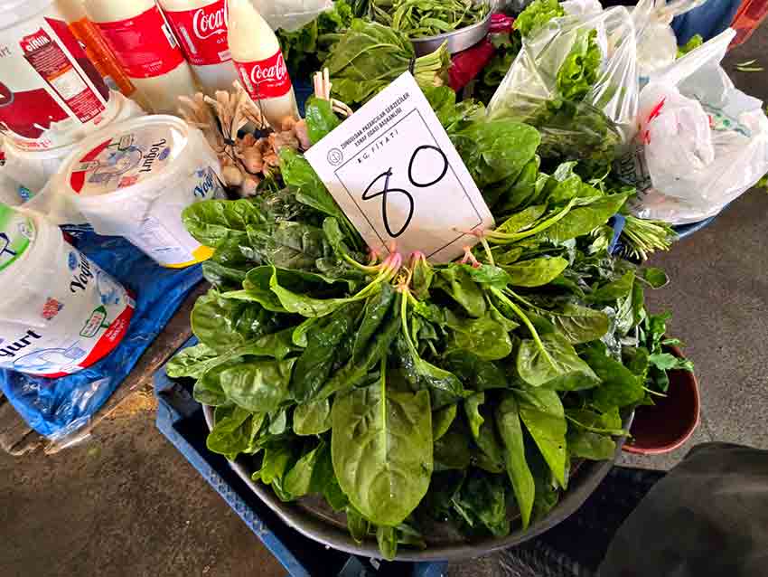 Whats App Image 2025 11 08 At 16.25.57