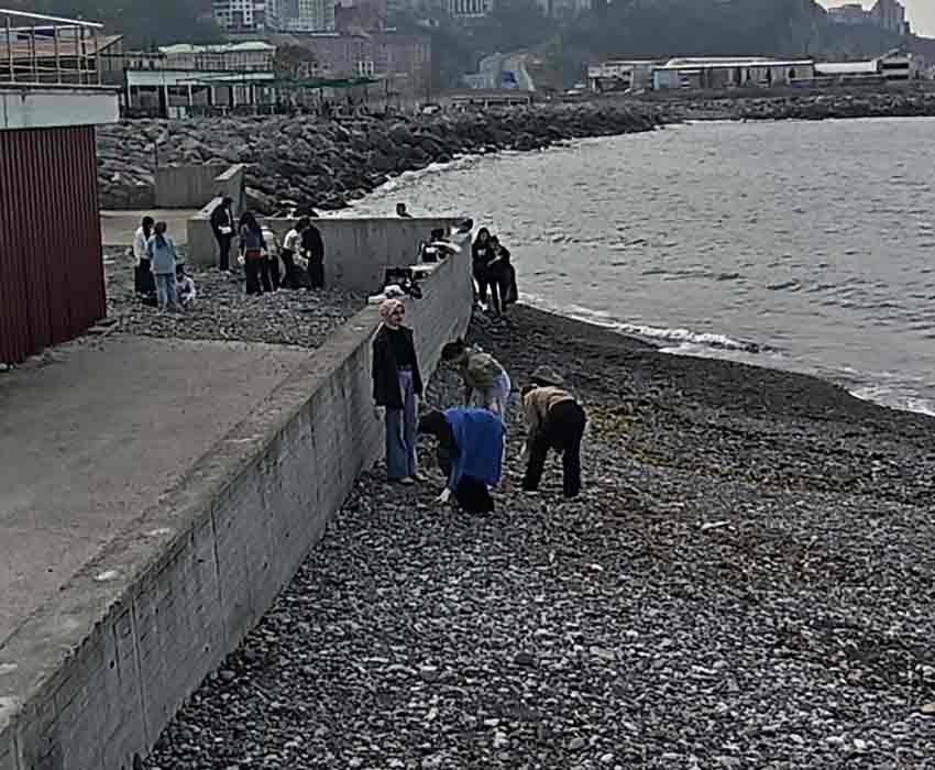 Whats App Image 2025 11 09 At 12.13.09 (1)