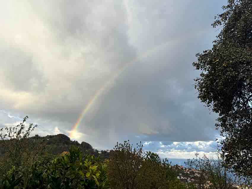 Whats App Image 2025 11 14 At 09.37.12 (1)