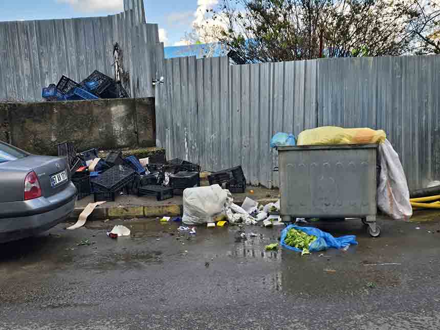 196Af564 4E8F 49A3 A77F 1B82Bab3D77D