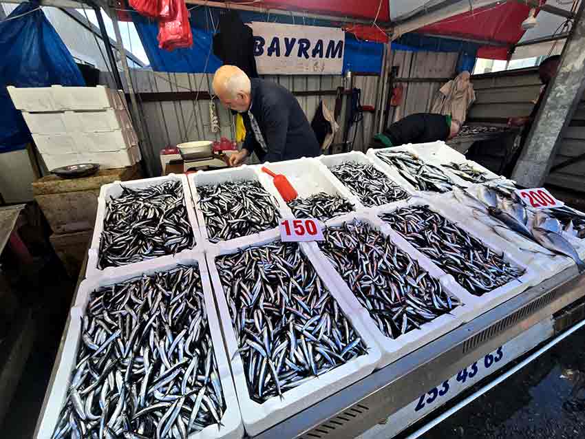 28Dfef85 9697 4D00 8405 6F0Ebe019013