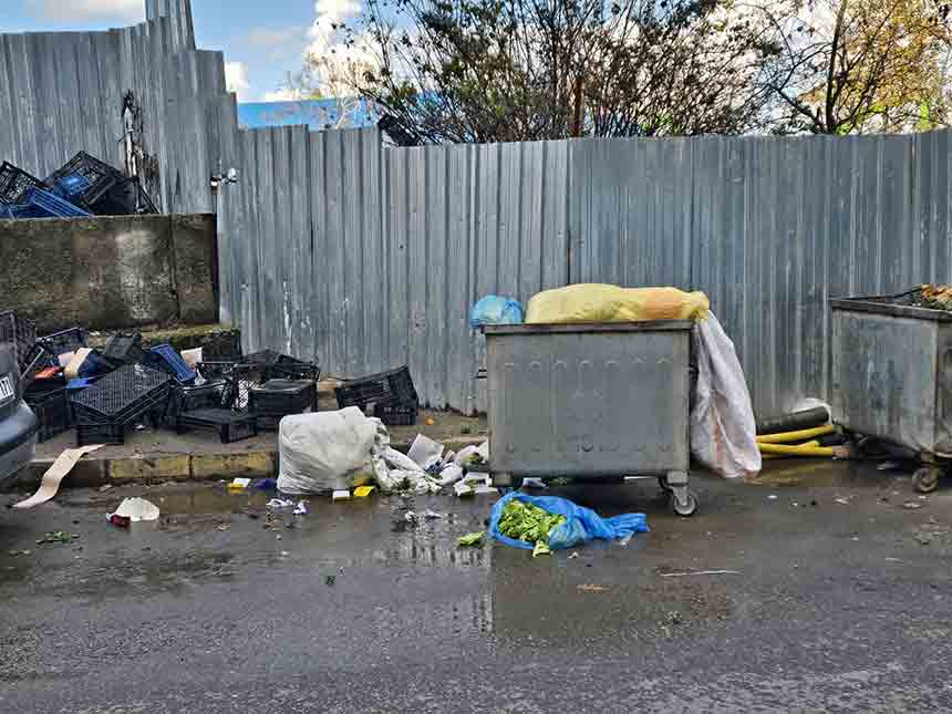 51825E28 73Ae 4F97 96Cf Ba71708D4899