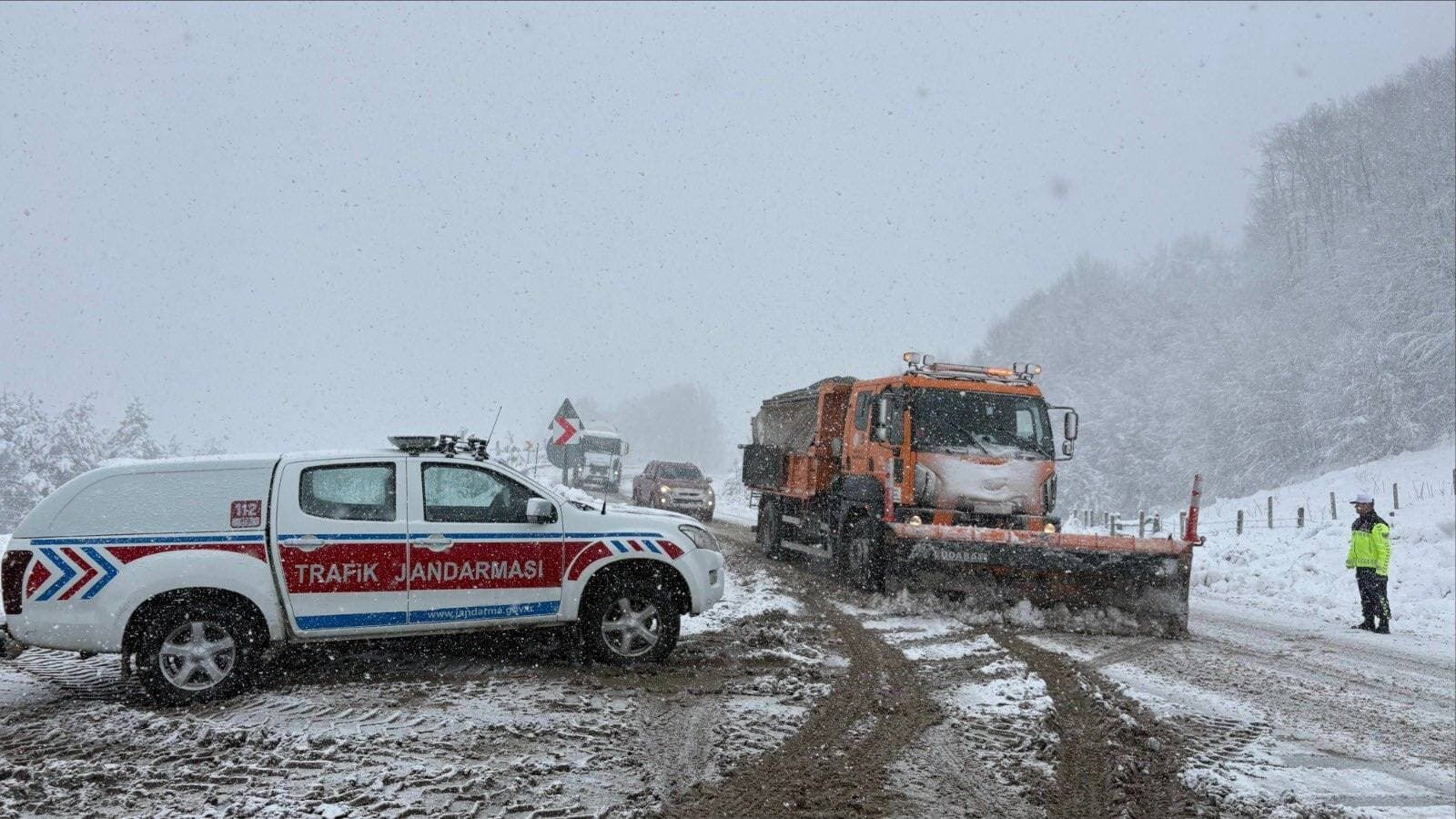 603907212 1287370166764987 947209212907008944 N (1)