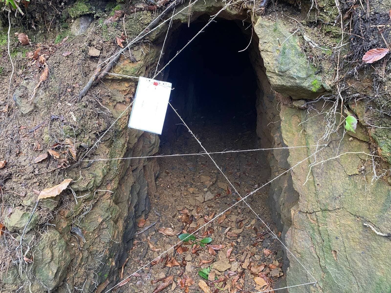 607076567 1287370070098330 3409986607487357943 N (1)