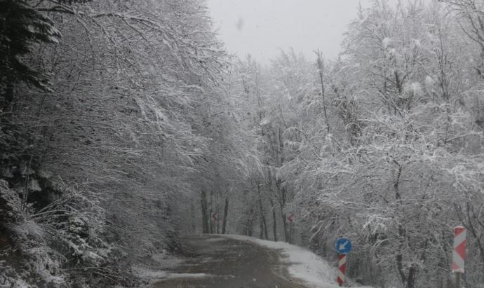 Abant Gölü Milli Parkı 2