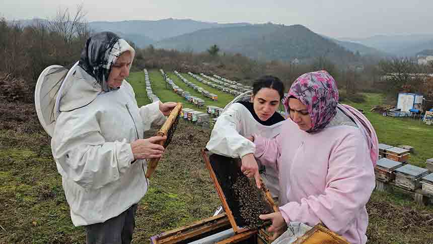 Anne Ve Kızlarından Bal Üretimi