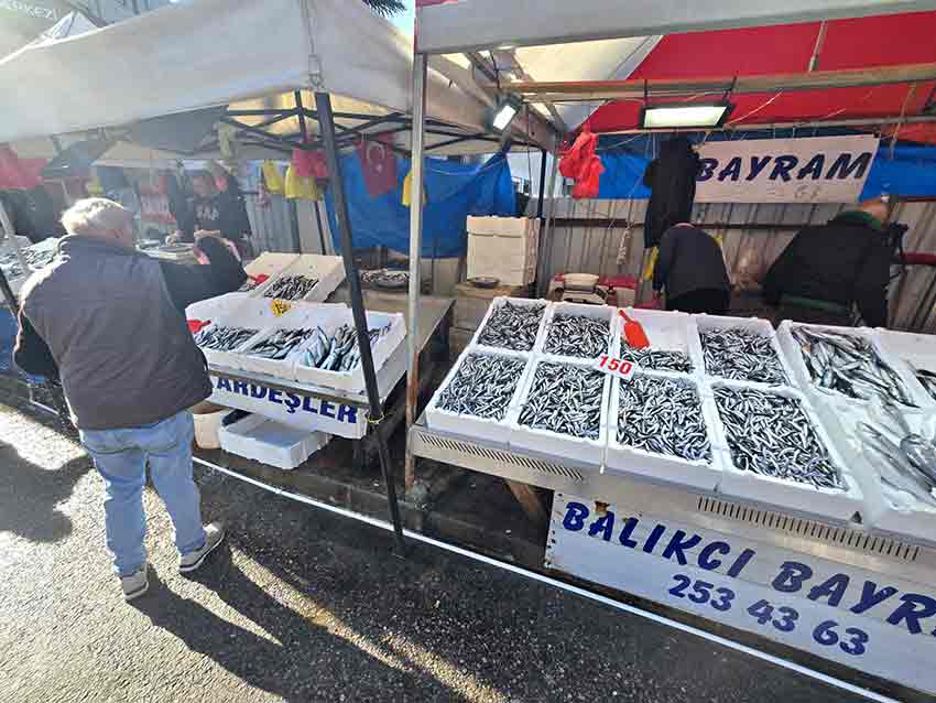 E36Aceeb C4Ae 4F5A Bc51 0C22A80Fb897