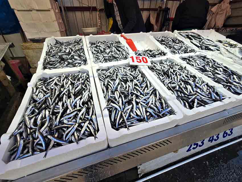 E69336C0 C17A 4D90 9613 6E07B3B5D8Db