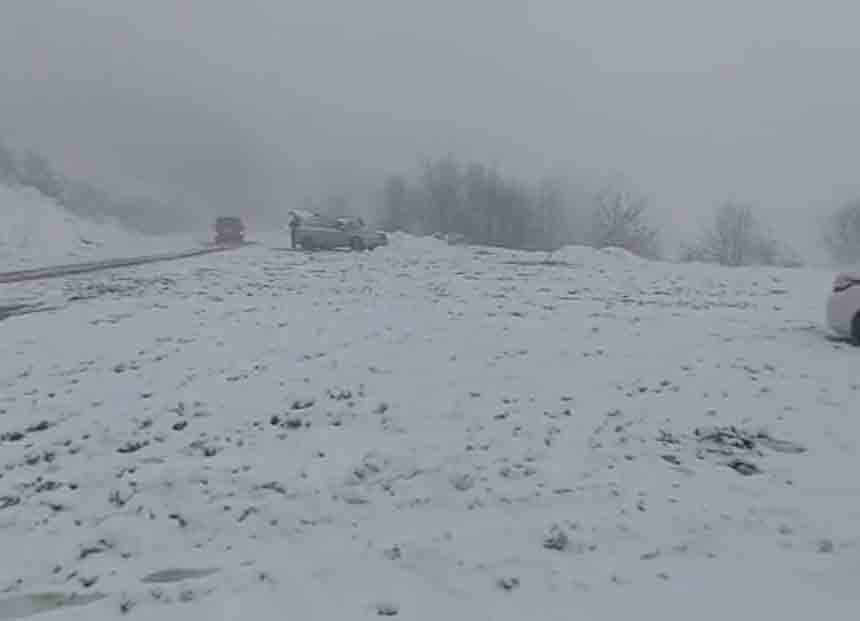 Gaca Ve Kumtarla (1)