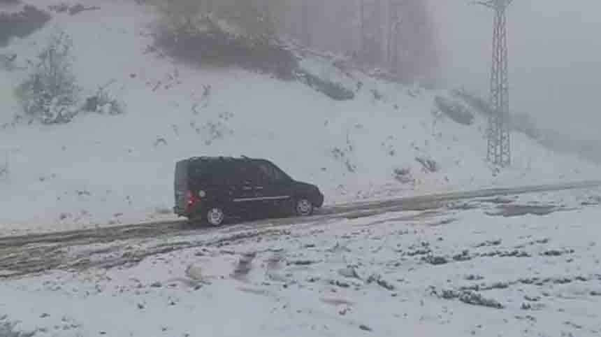 Gaca Ve Kumtarla (2)