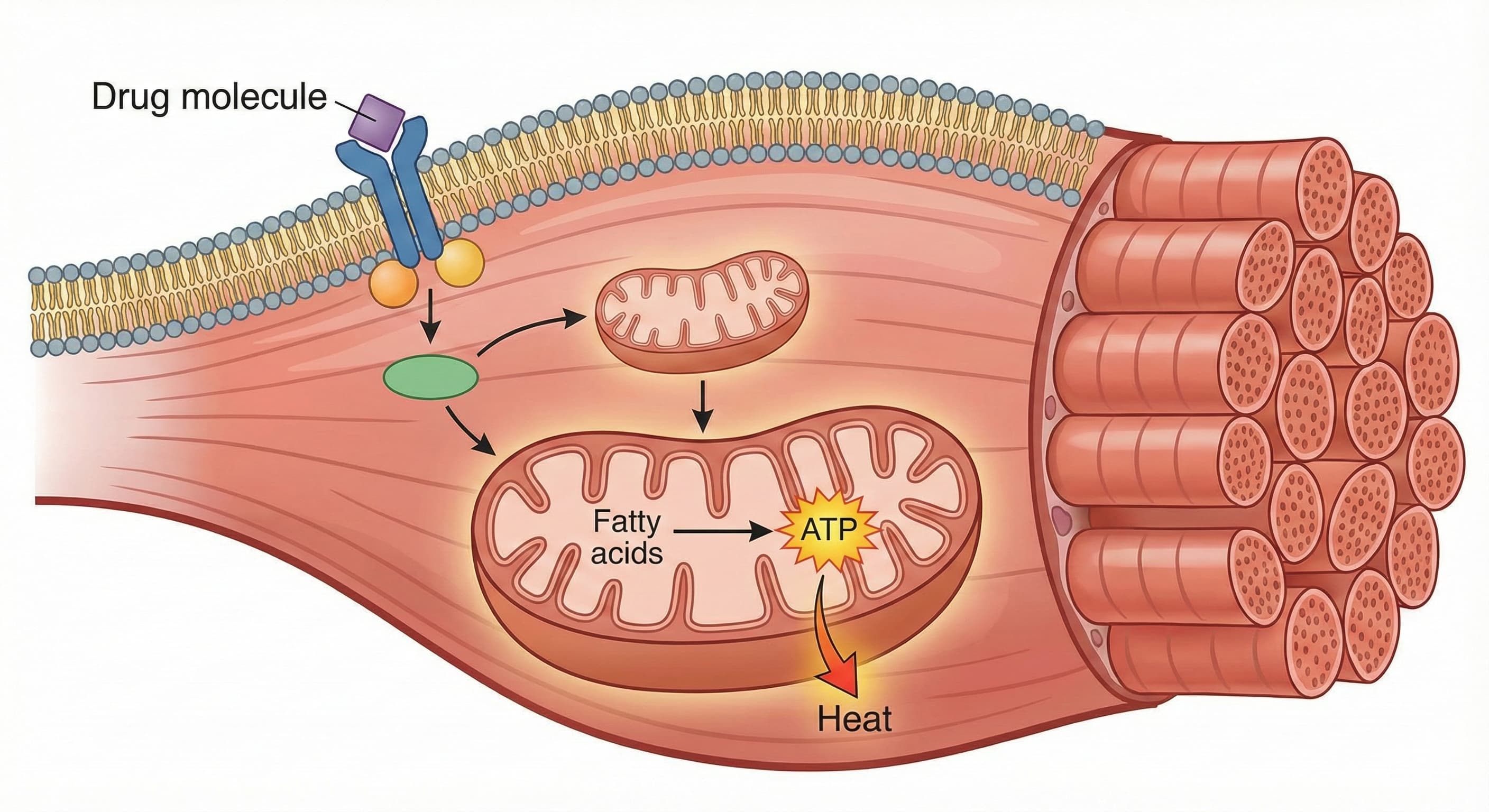 Gemini Generated Image Jmzmuijmzmuijmzm