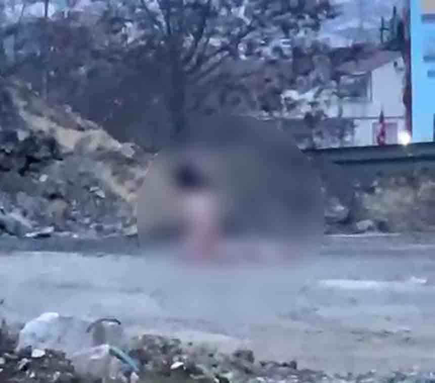 K Ö P R Ü A L T I N D A İ Ğ R E N Ç O L A Y (2)