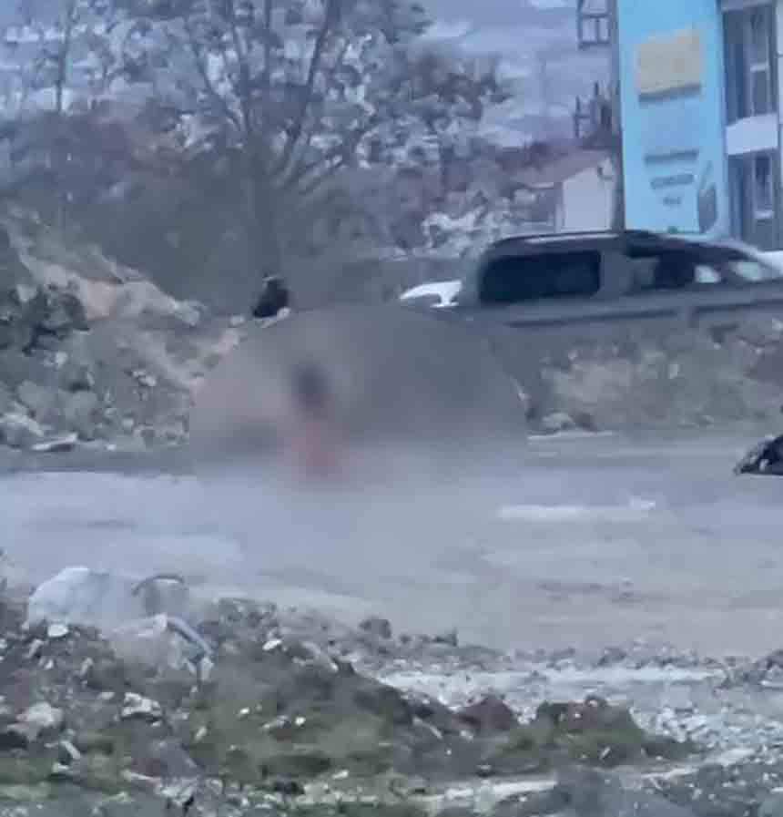 K Ö P R Ü A L T I N D A İ Ğ R E N Ç O L A Y (3)