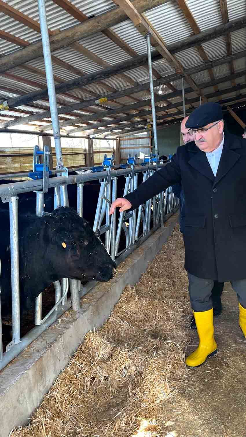 Kırsalda Bereket (2)