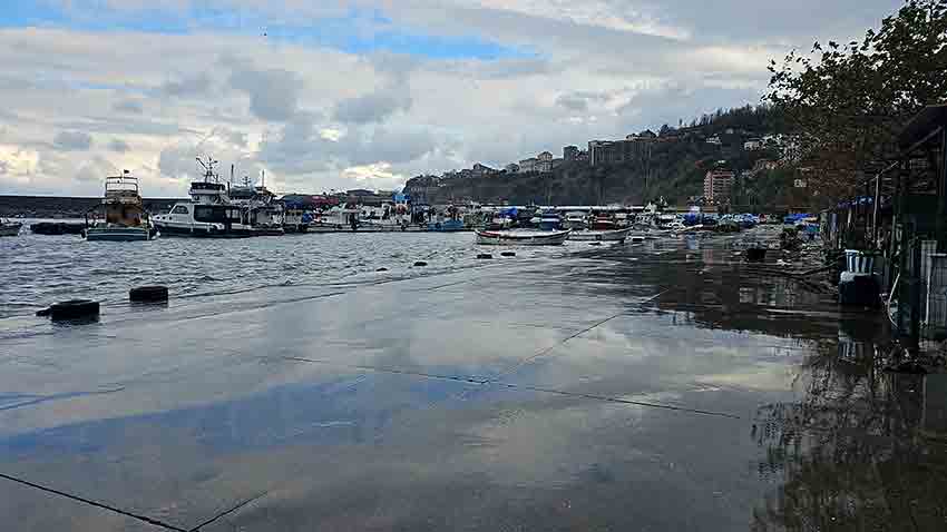 Kozlu Limanı Fırtına Sonrası Çöplerle Doldu (3)