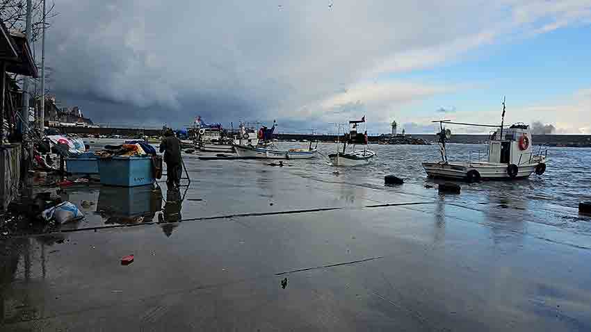 Kozlu Limanı Fırtına Sonrası Çöplerle Doldu (4)