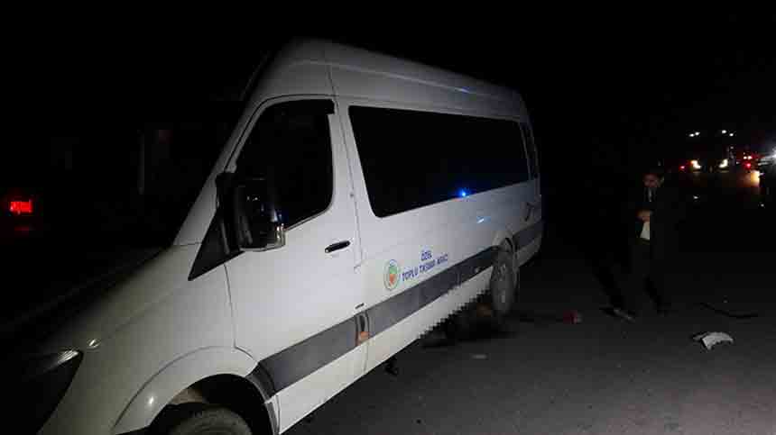 Milyonluk Taylat Telef Oldu (1)