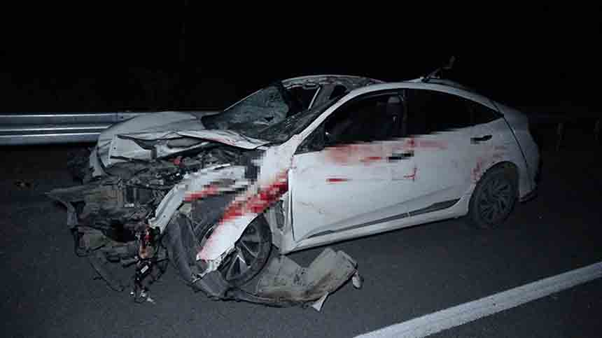 Milyonluk Taylat Telef Oldu (4)