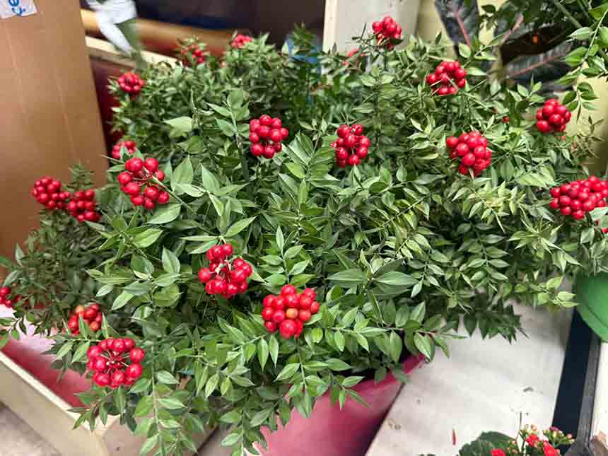 Whats App Image 2025 12 06 At 13.21.31