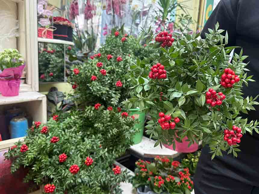 Whats App Image 2025 12 06 At 13.21.32 (2)