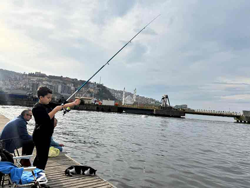 Whats App Image 2025 12 06 At 15.11.05 (1)