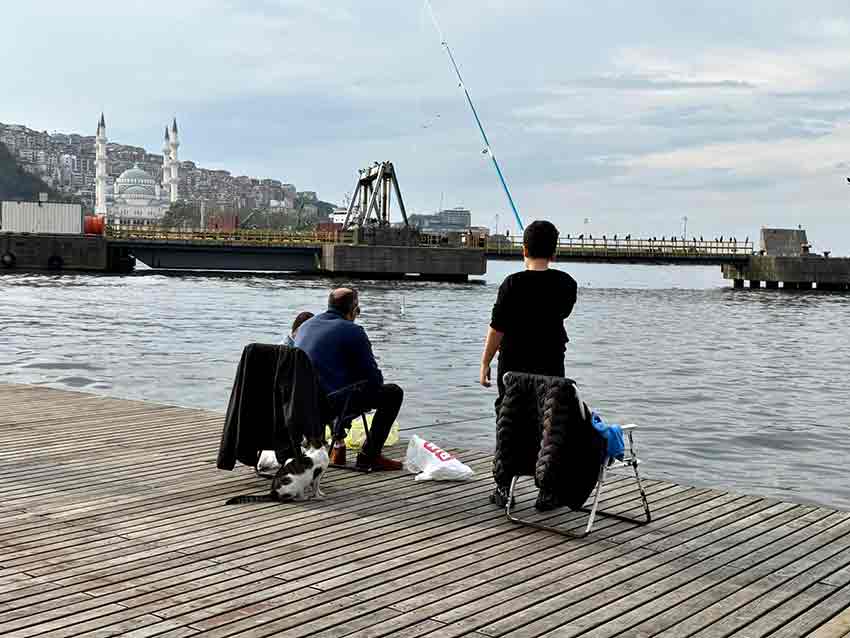 Whats App Image 2025 12 06 At 15.11.06 (1)