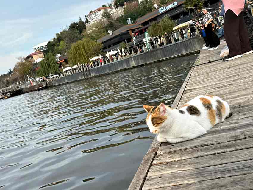 Whats App Image 2025 12 06 At 15.11.06 (2)