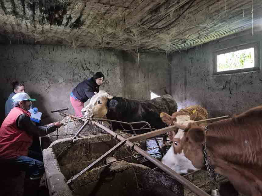 Whats App Image 2025 12 14 At 11.50.38