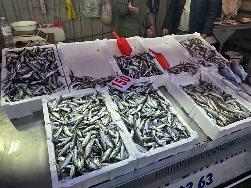 Whats App Image 2025 12 20 At 14.36.42