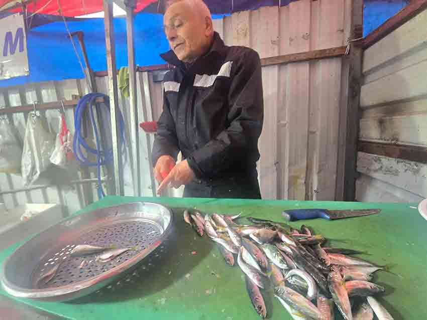 Whats App Image 2025 12 22 At 11.14.15 (1)