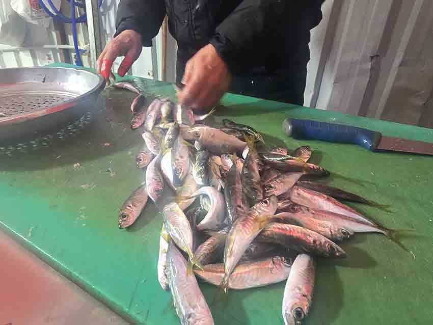 Whats App Image 2025 12 22 At 11.14.15 (2)