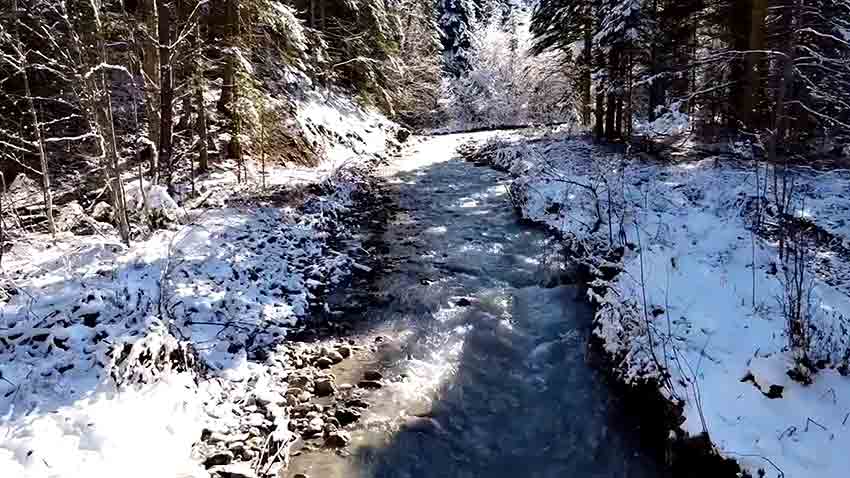Abant Gölü Milli Parkı'ndan Muhteşem Görüntü (1)