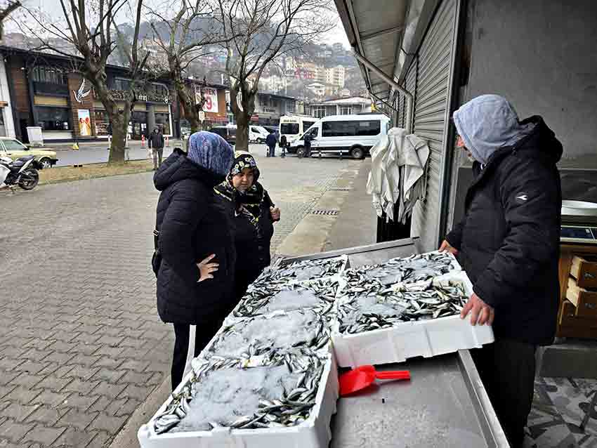 B A L I K Ç I L A R Y E N İ Y E R L E R İ N D E T E Z G A H A Ç T I (1)