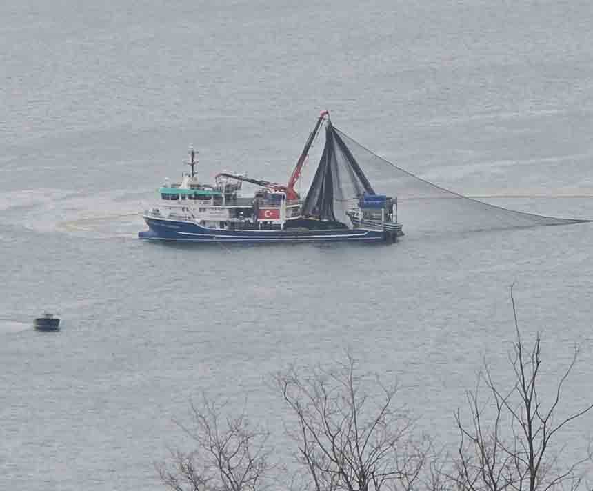 Balıkçılar Av Mesaisinde (1)