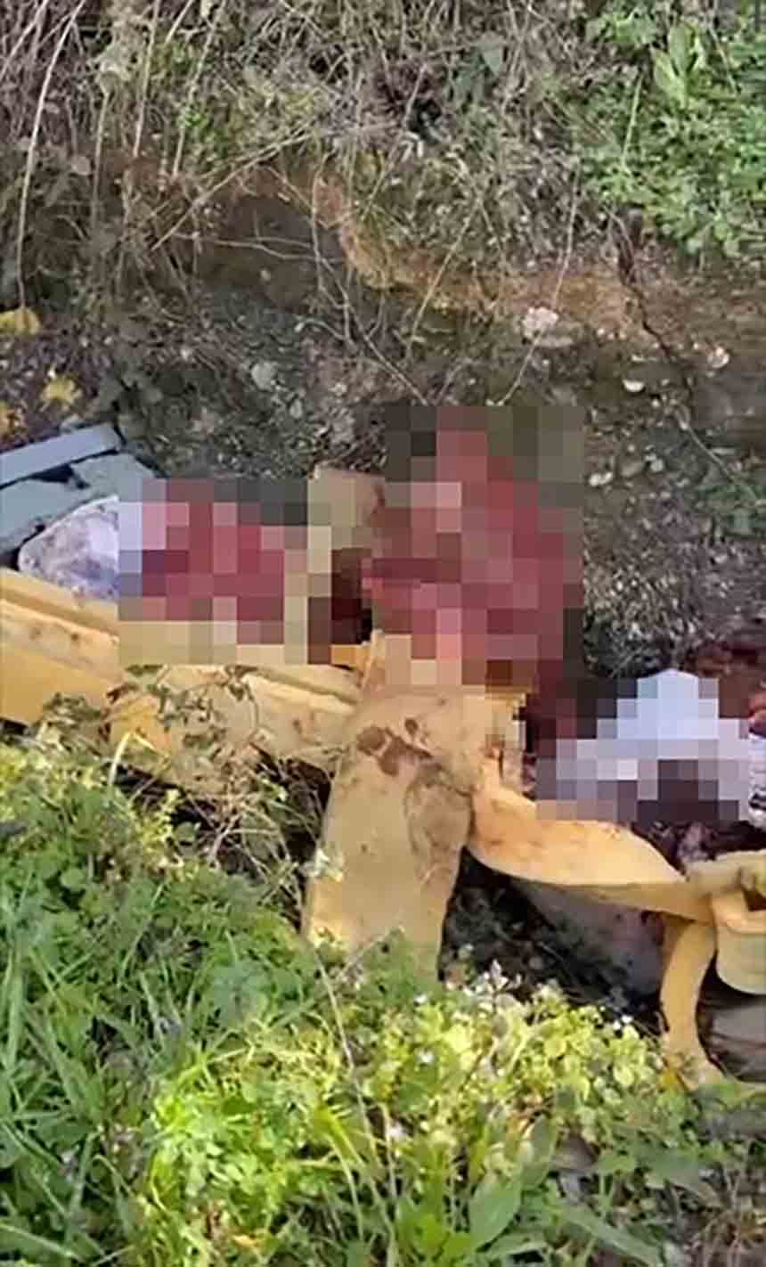 Ç E V R E Y E A T I L A N K E M İ K L E R (2)