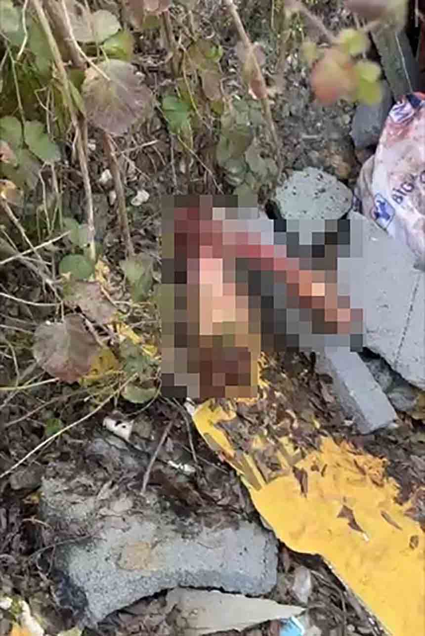 Ç E V R E Y E A T I L A N K E M İ K L E R (3)