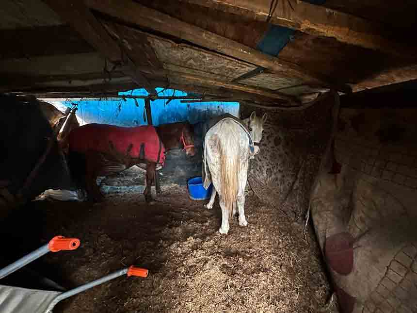 Ç E V R E Y E A T I L A N K E M İ K L E R (4)