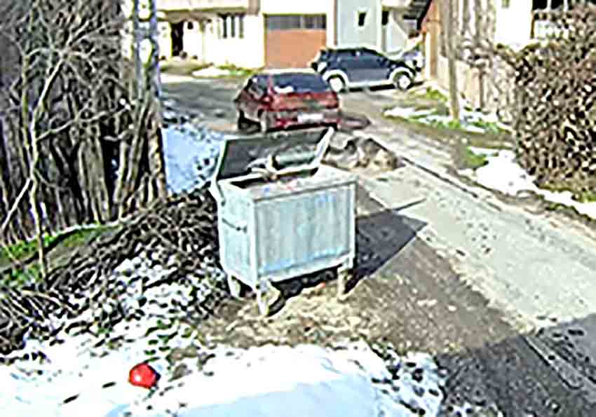 E Z İ L E N K Ö P E Ğ İ N V Ü C U D U N D A N 400 S A Ç M A Ç I K T I (4)