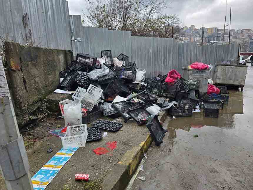 S O Ğ U K S U D A Ç Ö P D A Ğ I (2)