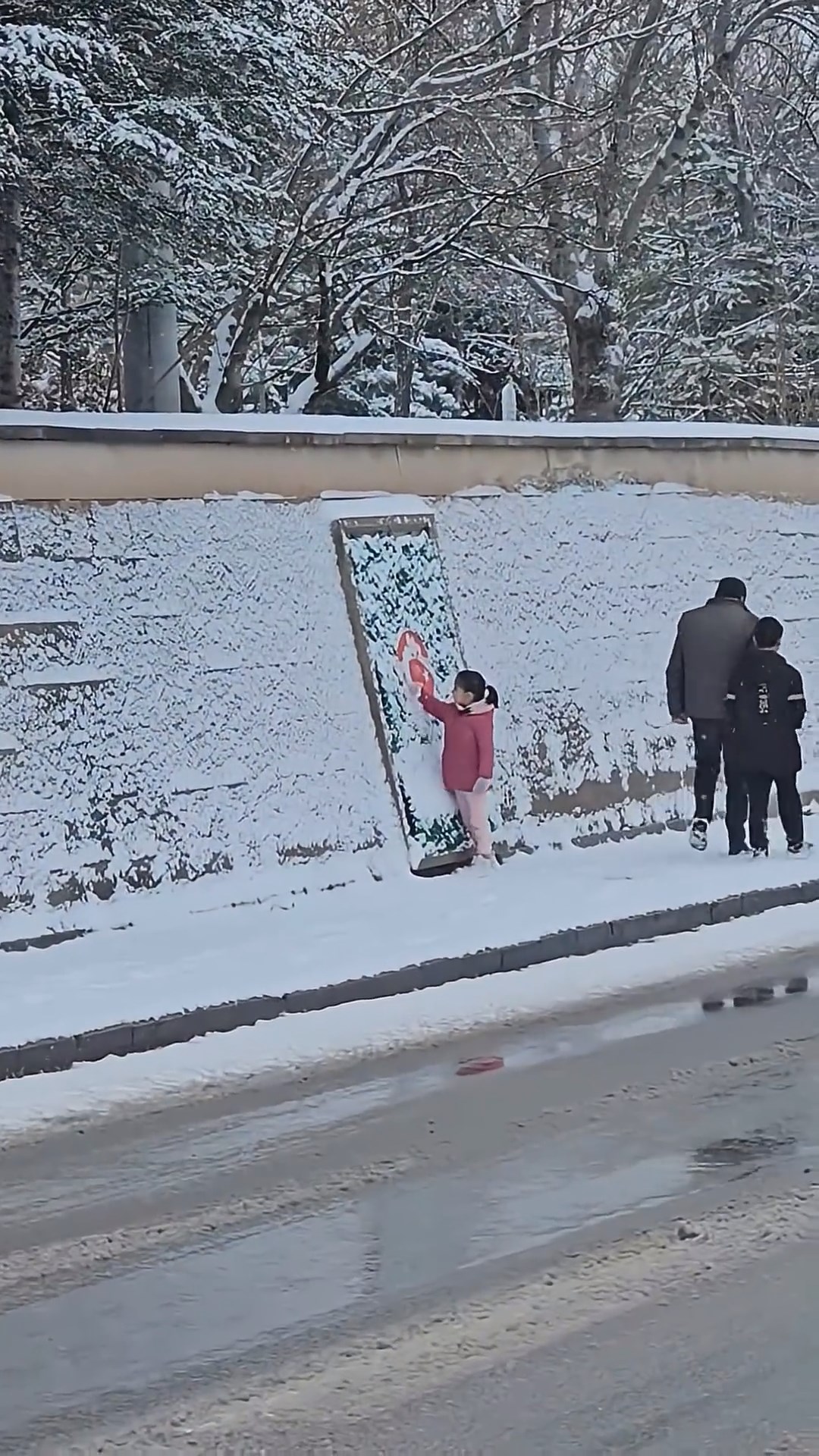 Zeynep Bayrak Sevgisi (1)