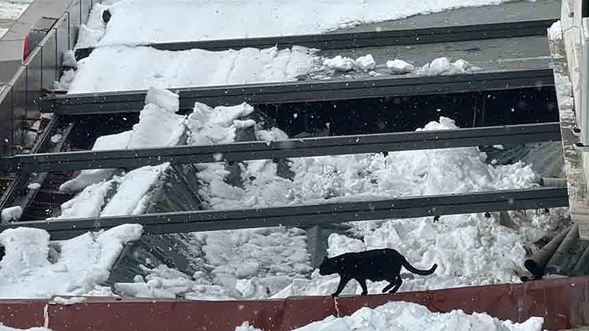 Zincir Market Çöktü (1)