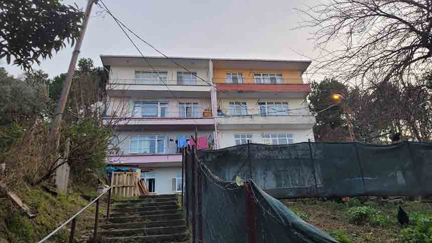 K A Y I P K A D I N D A N A C I H A B E R K A S T A M O N U (2)