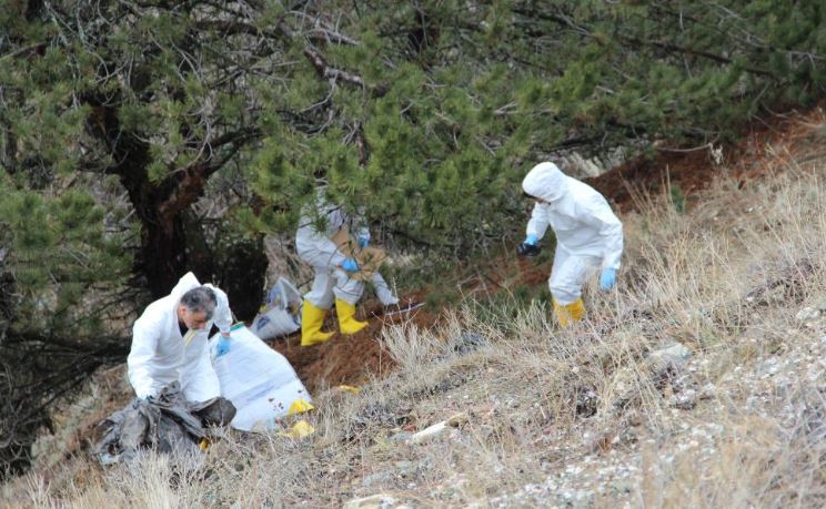 Kan Donduran Olayda İfadeler Ortaya Çikti