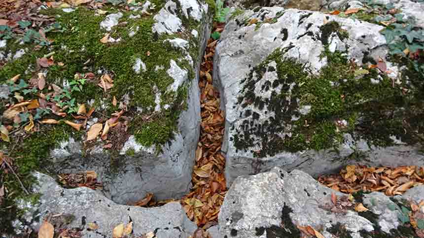 Kastamonu Da Defineciler Talan Etti (8)