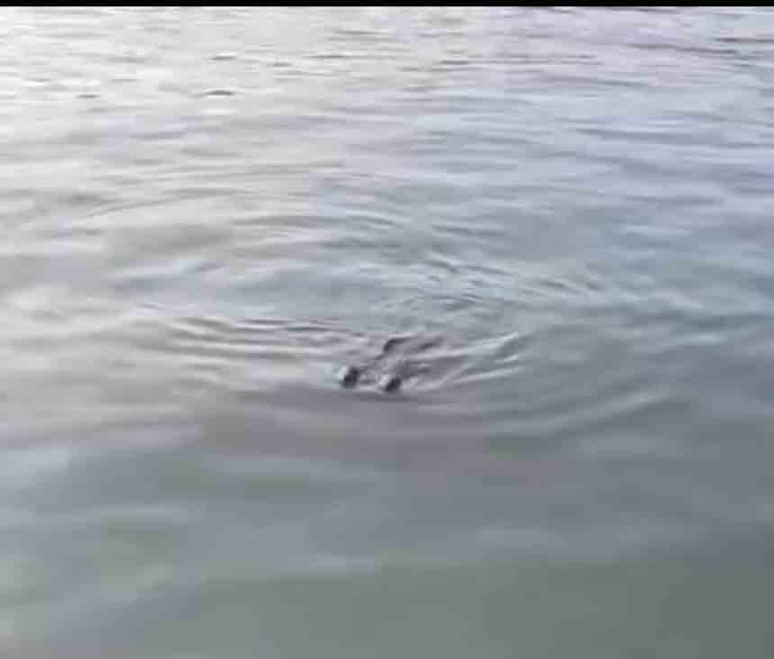 Limanda Su Samuralrı (1)