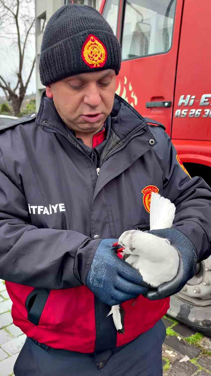 Tellerde Mahsur Kalan Martıyı Itfaiyeden Yardım Eli (1)