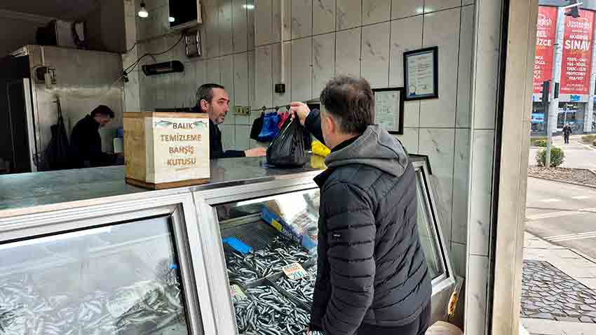Tezgâhlarda Yeni Gözde Balık Hamsi Yerini İstavrite Bıraktı (1)