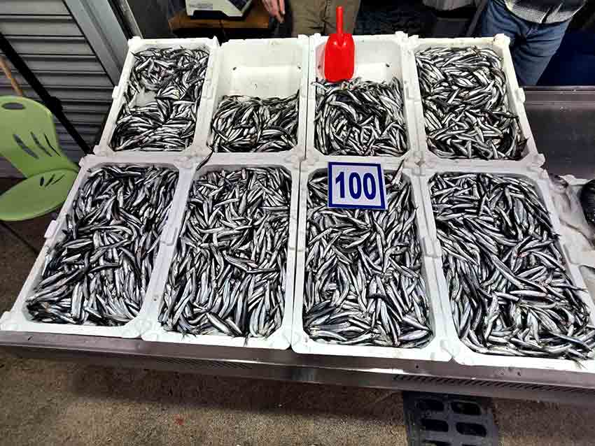 Whats App Image 2026 02 16 At 13.08.39