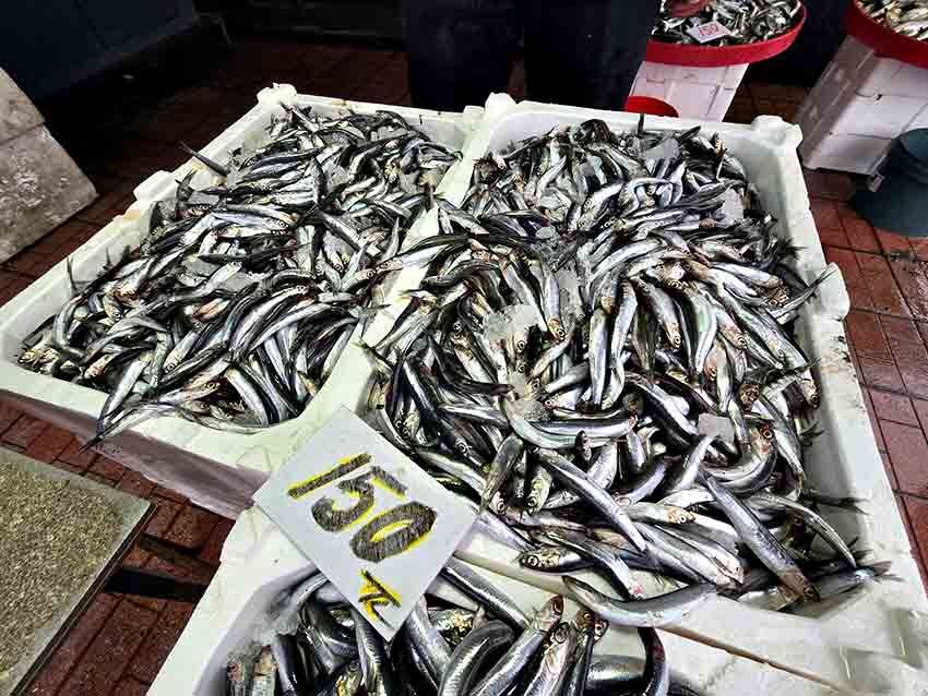 H A M S İ T E Z G A H L A R A G E R İ D Ö N D Ü (1)