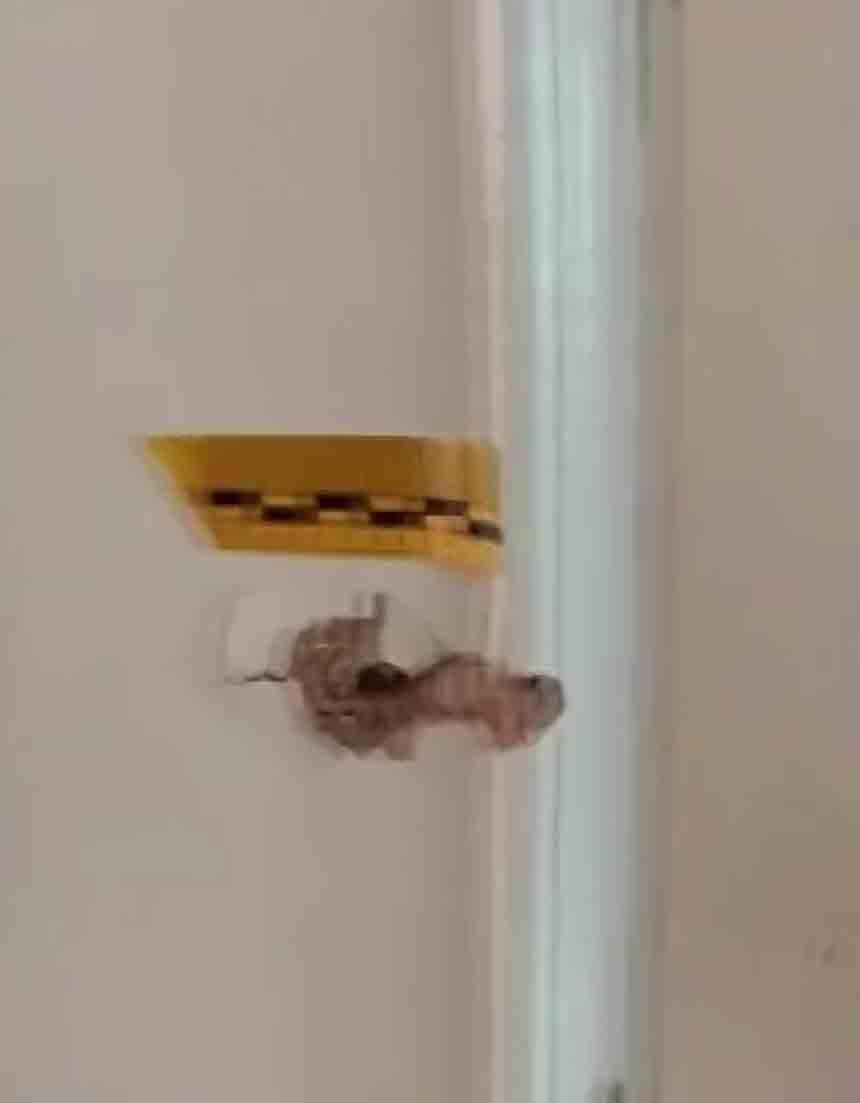 S A H T E P O L İ S A D A N A (4)